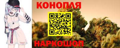 амф Кандалакша