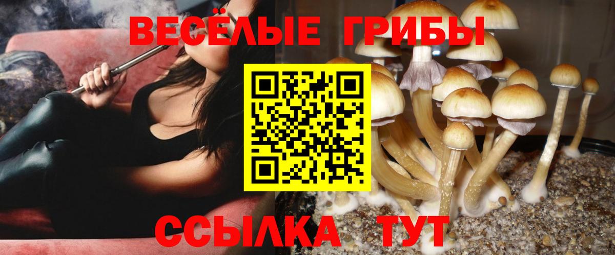 Галлюциногенные грибы ЛСД  Вход с VPN  Великий Новгород  Галлюциногенные грибы мицелий 